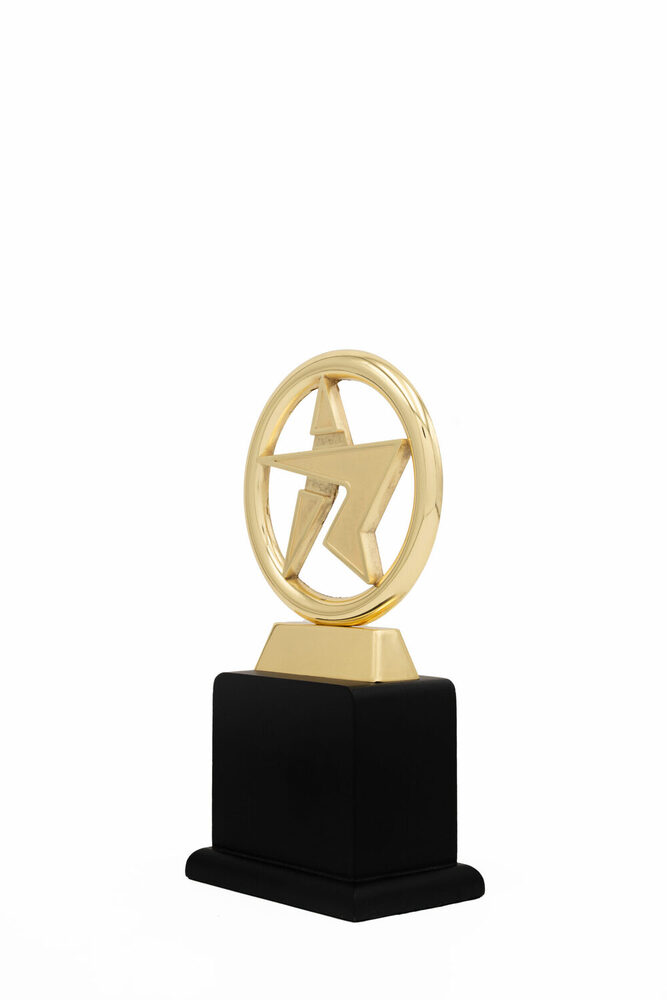 Swift Star-1049-G Award