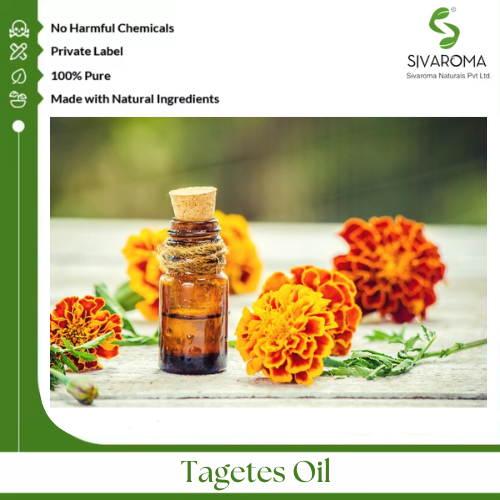 Tagetes Oil - Age Group: All Age Group