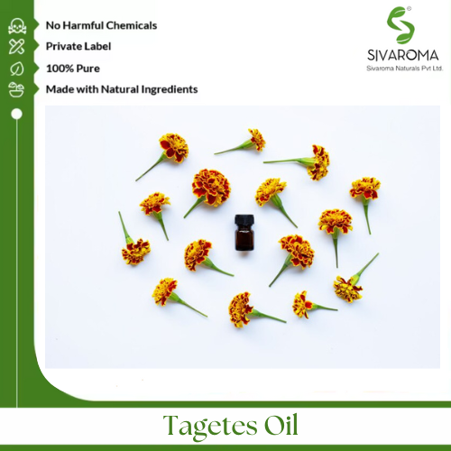 Tagetes Oil - Age Group: All Age Group