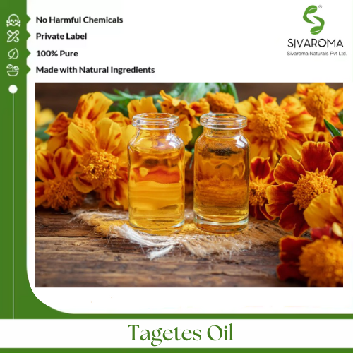 Tagetes Oil - Age Group: All Age Group