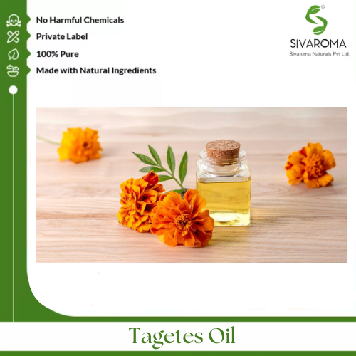 Tagetes Oil - Age Group: All Age Group