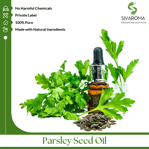 Parsley Seed Oil - Age Group: All Age Group