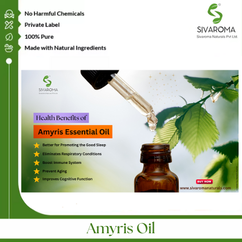 Amyris Oil - Age Group: All Age Group
