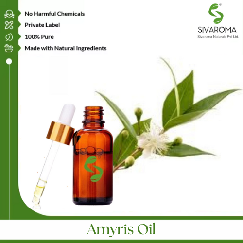 Amyris Oil - Age Group: All Age Group