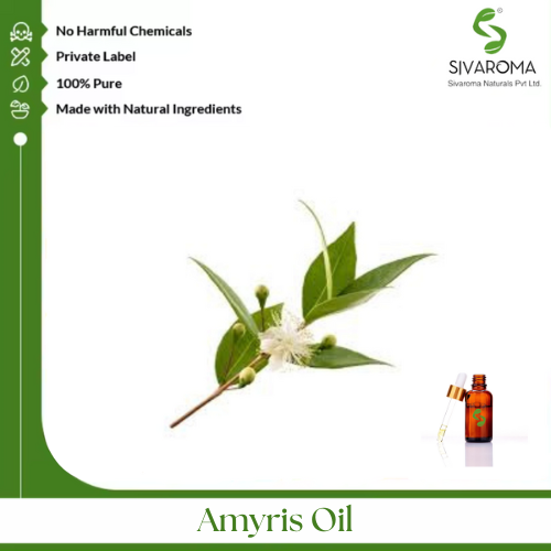 Amyris Oil - Age Group: All Age Group