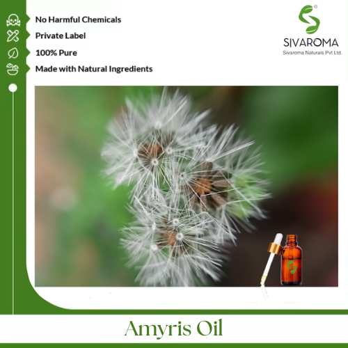 Amyris Oil - Age Group: All Age Group