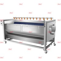 Industrial Vegetable Washing Machine - Automation Grade: Semi Automatic