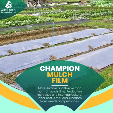 7 Star Champion Silver Black Mulch Film - Base Material: Lldpe