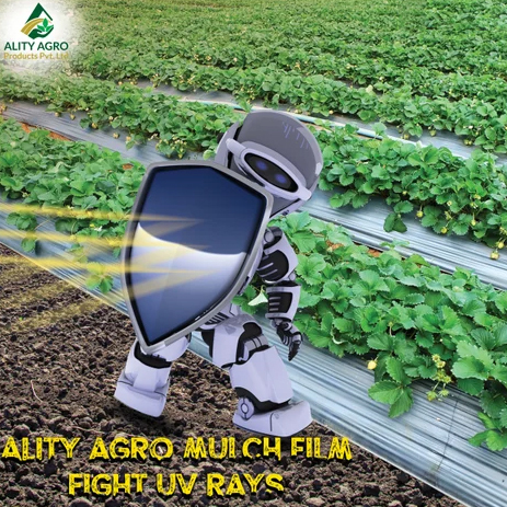 7 Star Champion Silver Black Mulch Film - Base Material: Lldpe