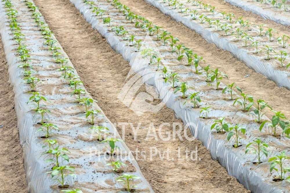 Silver Black Mulch Film - Base Material: Lldpe