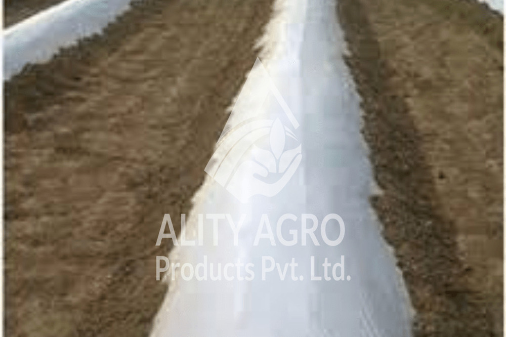 Champion Mulch Film - Base Material: Plastic
