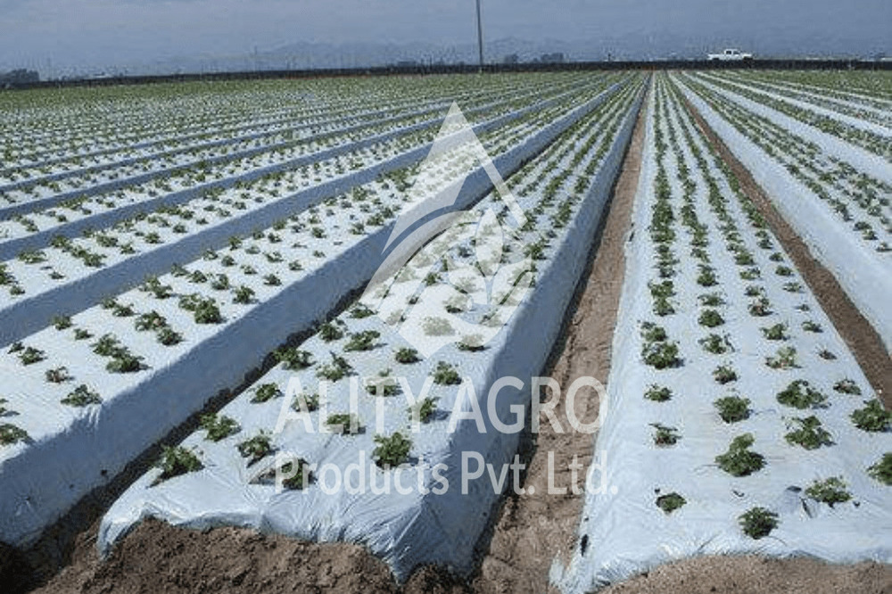 Biodegradable Mulch Film - Base Material: Hdpe