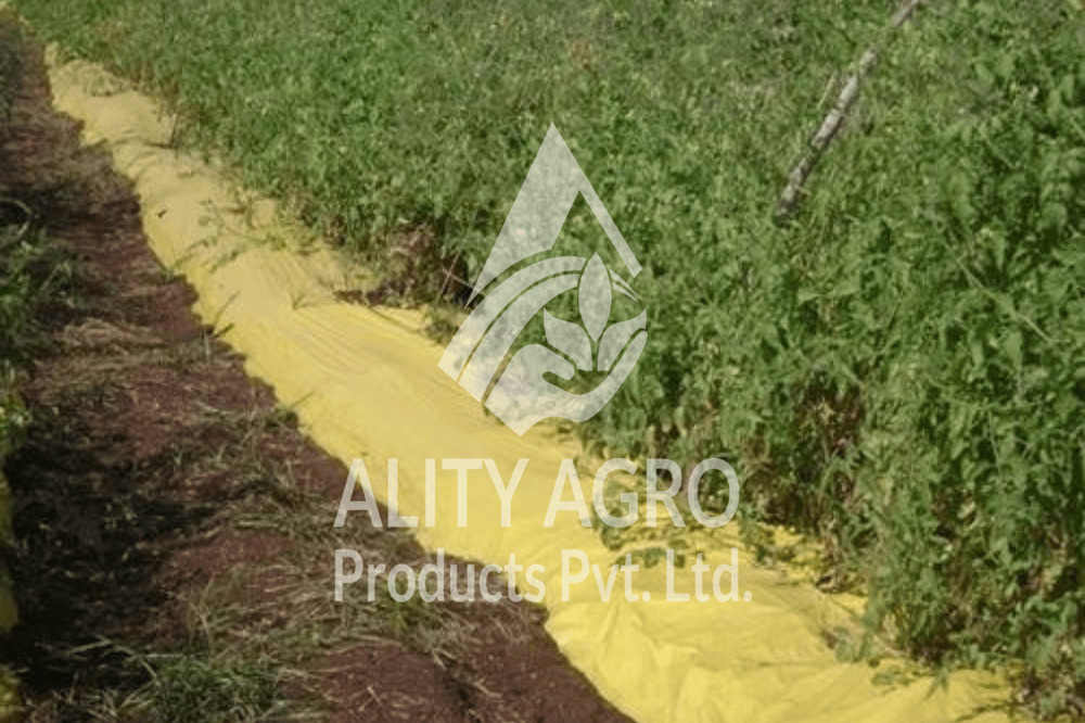 Yellow Mulch Film - Base Material: Lldpe
