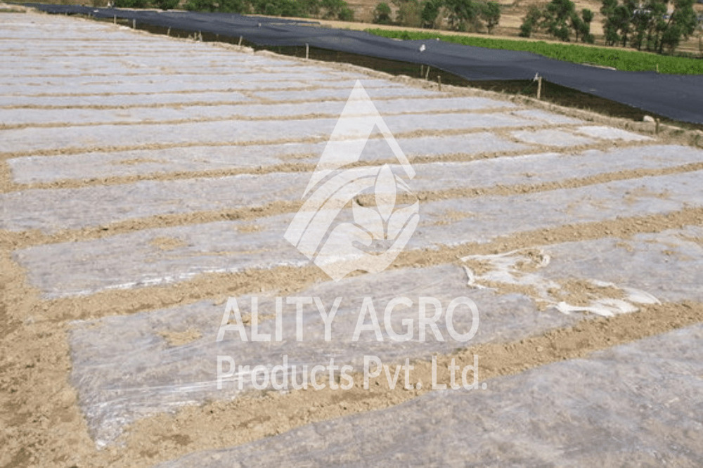 Transparent Mulch Film - Base Material: Lldpe