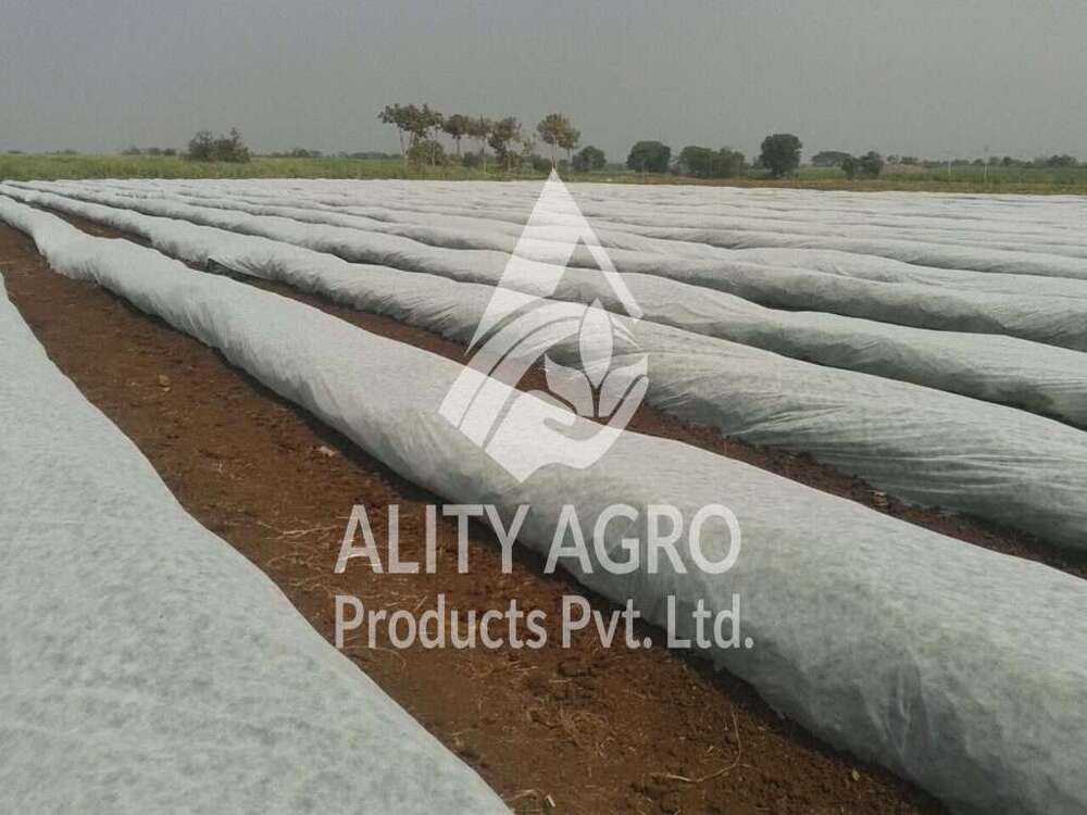Crop Protection Cover - Color: White