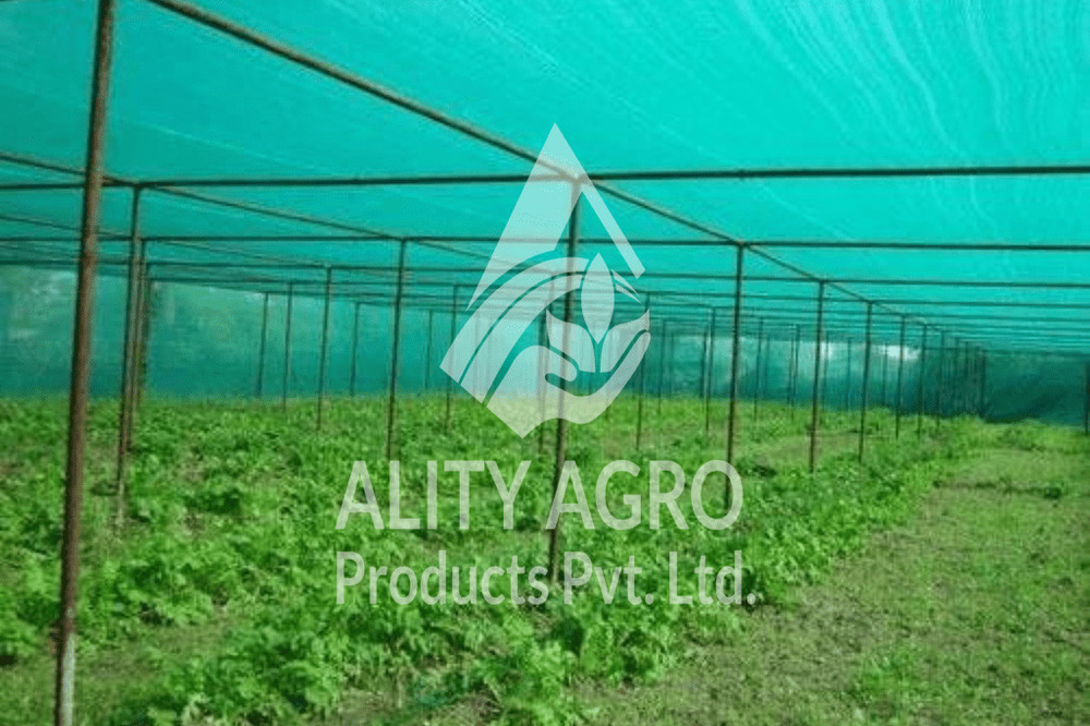 Horticulture Shade Net - Coating Type: Matte