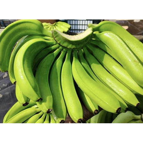 Farm Fresh Green Bananas - Cultivation Type: Organic