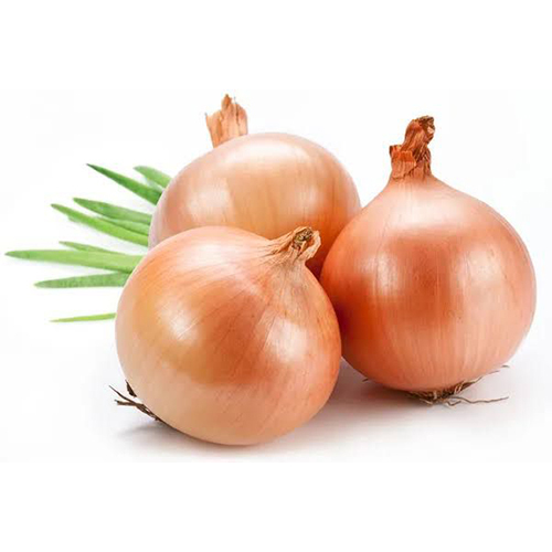 Fresh Golden Onion - Cultivation Type: Organic