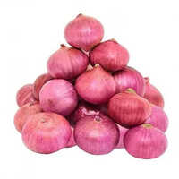 Fresh Red Onion Medium Size