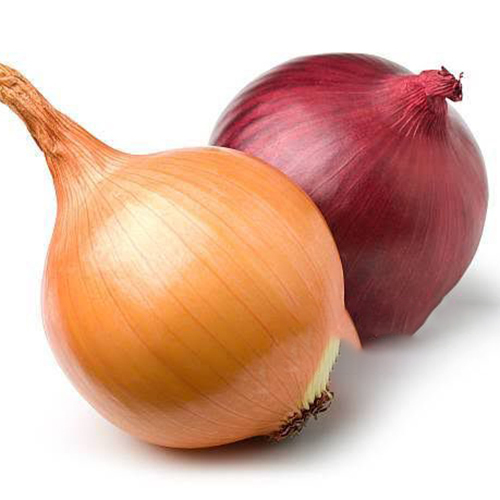 Hybrid Red Onion - Cultivation Type: Organic