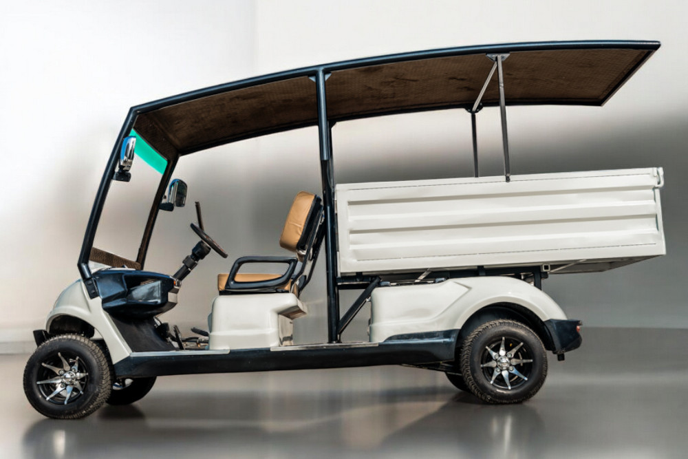 Saera U - 100(L) 2 Seater Electric cargo Golf Cart