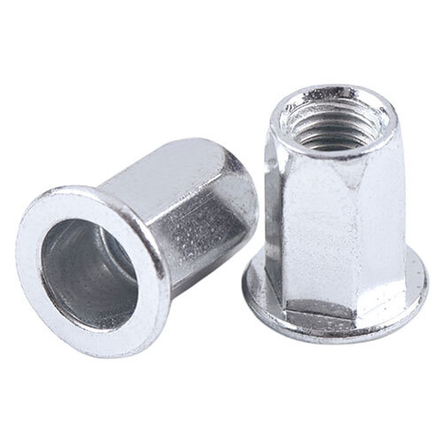 Ms Large Head Full Hex Rivet Nut - Color: Silver