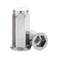 Ss-304 Flat Head Full Hex Close Rivet Nut - Color: Silver
