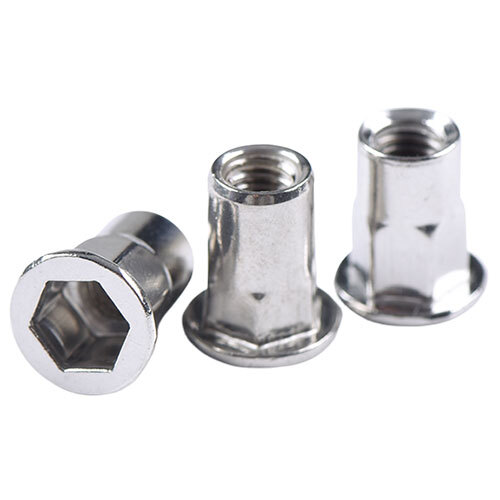 Ss-304 Small Head Semi Hex Rivet Nut - Color: Silver
