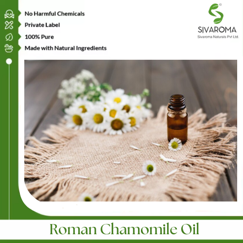 Roman Chamomile Oil - Age Group: All Age Group