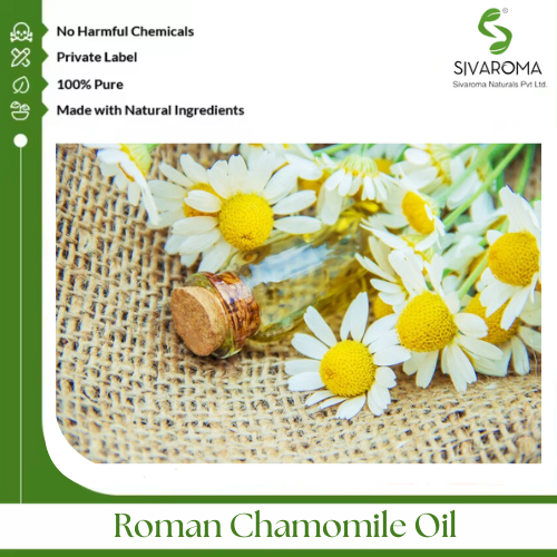 Roman Chamomile Oil - Age Group: All Age Group