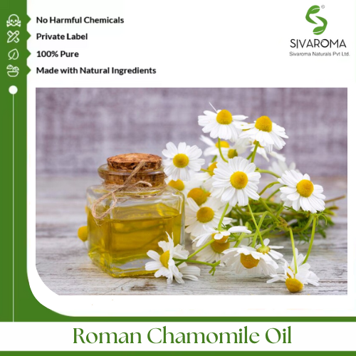 Roman Chamomile Oil - Age Group: All Age Group