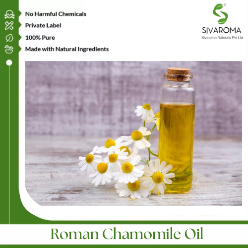 Roman Chamomile Oil - Age Group: All Age Group