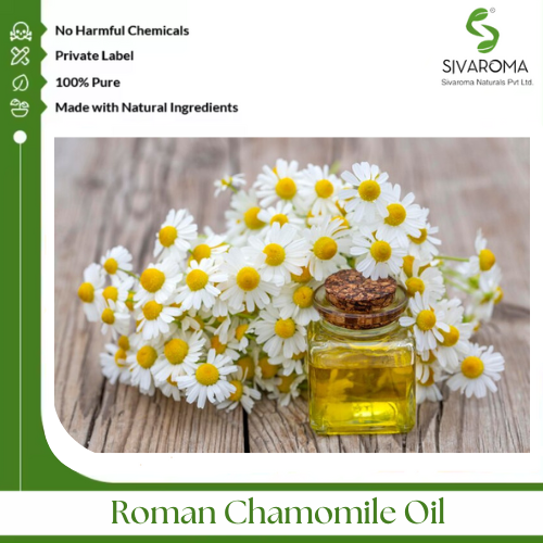 Roman Chamomile Oil - Age Group: All Age Group