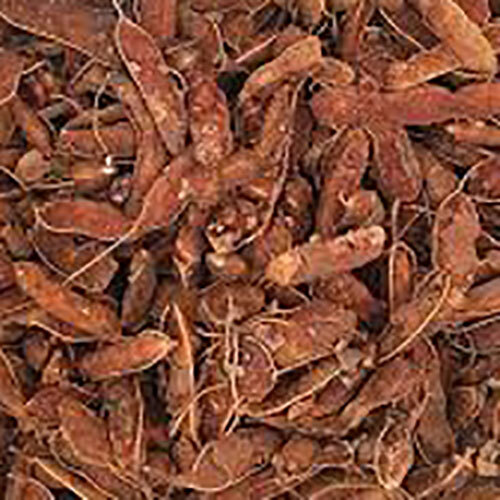 Raw Tamarind - Color: Dark Brown / Reddish Brown / Black
