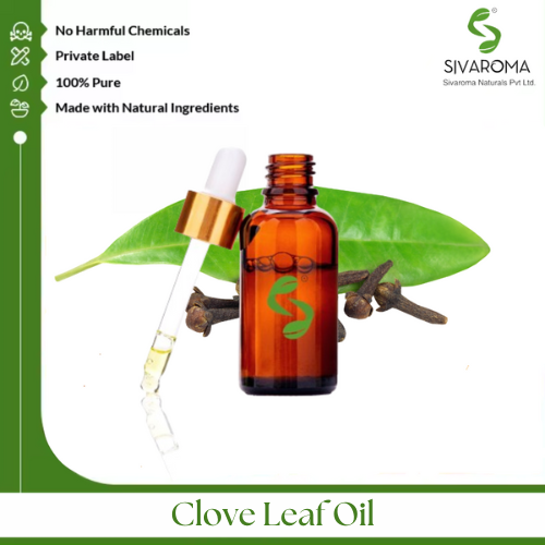 Clove Leaf Oil - Pure Essential Oil Extract | Aromatic Wellness, Natural Antimicrobial Properties, Therapeutic Grade