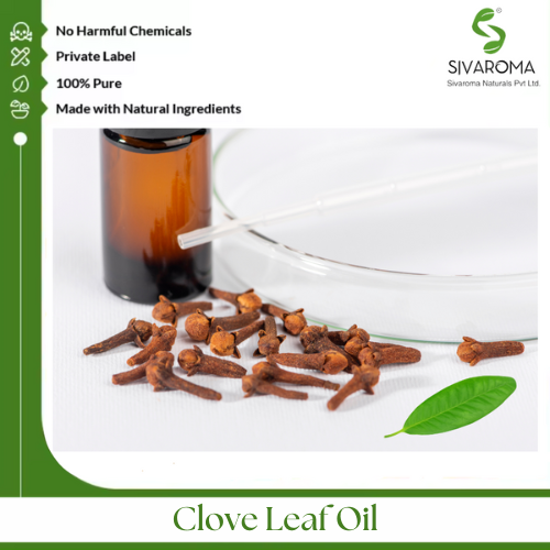 Clove Leaf Oil - Pure Essential Oil Extract | Aromatic Wellness, Natural Antimicrobial Properties, Therapeutic Grade
