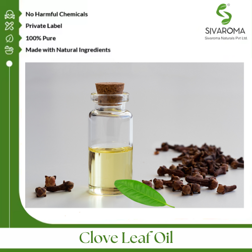 Clove Leaf Oil - Pure Essential Oil Extract | Aromatic Wellness, Natural Antimicrobial Properties, Therapeutic Grade