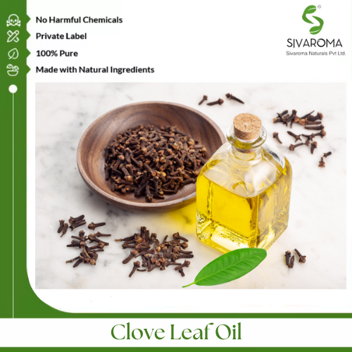 Clove Leaf Oil - Pure Essential Oil Extract | Aromatic Wellness, Natural Antimicrobial Properties, Therapeutic Grade