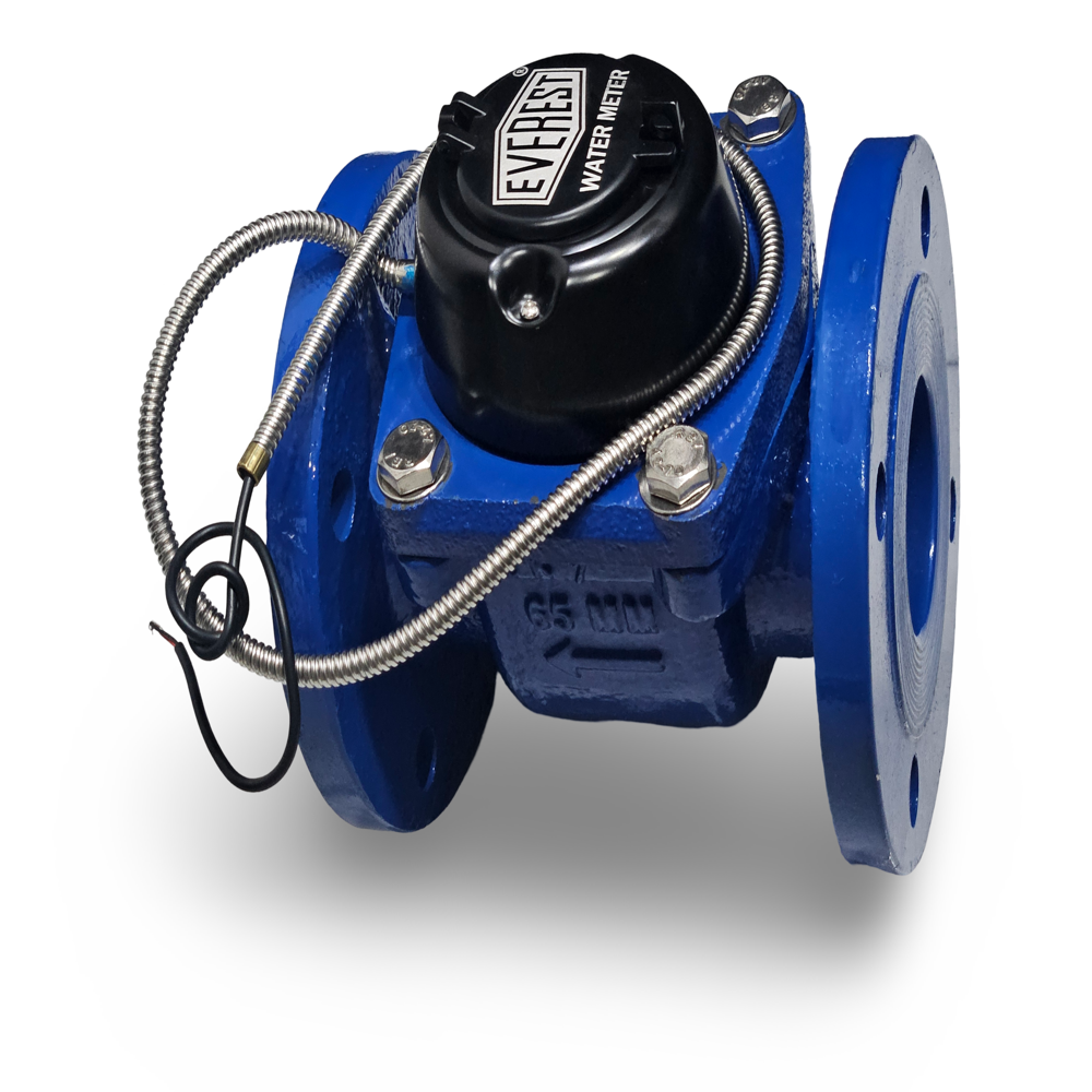 Everest Woltman Water Meter 150 mm