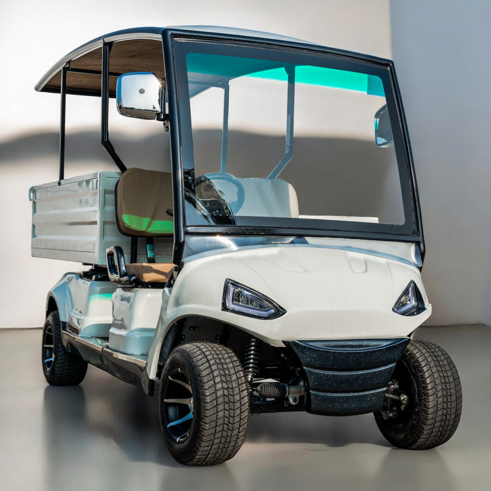 Saera U - 100(l) 2 Seater Electric Cargo Golf Cart - Capacity: 700 Kg