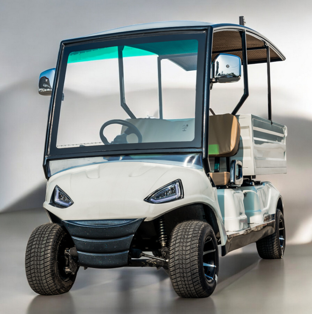 Saera U - 100(l) 2 Seater Electric Cargo Golf Cart - Capacity: 700 Kg