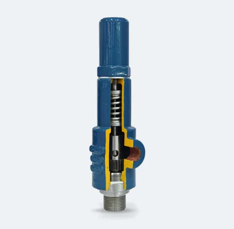 Vt-110 Screw End Thermal Relief Valve - Features: Rust Proof