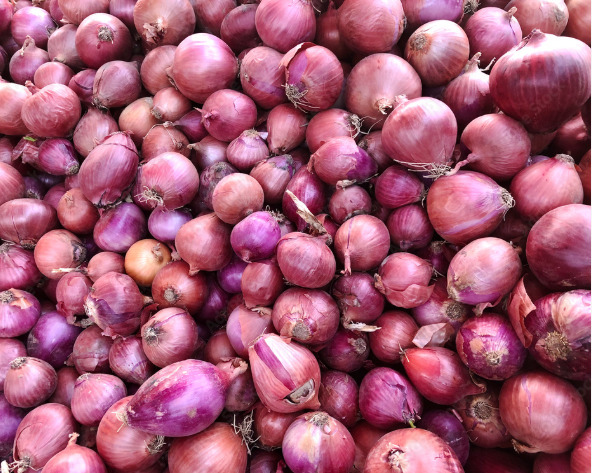 Red Onion - Packaging Size: Loose