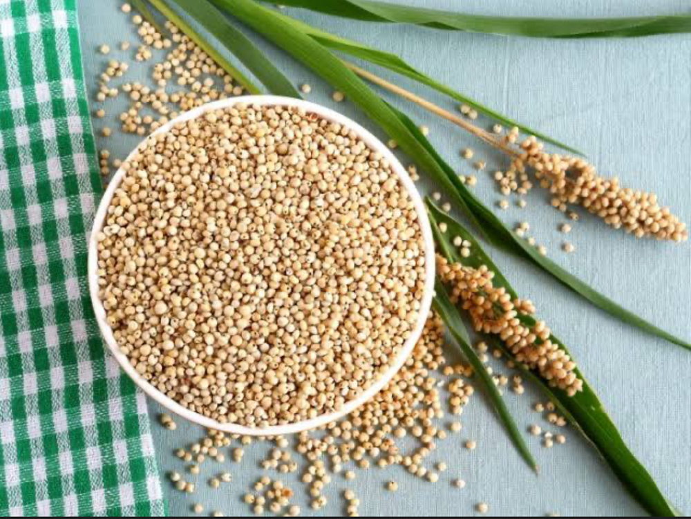 Millet Grain - Color: White