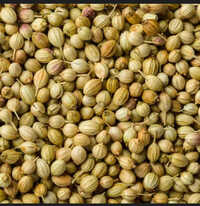 Coriander Seeds