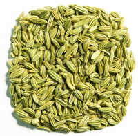 Fennel Seeds