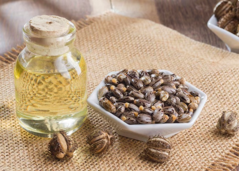 Castor Seed - Color: Brown