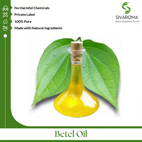 Betel Oil - Age Group: All Age Group