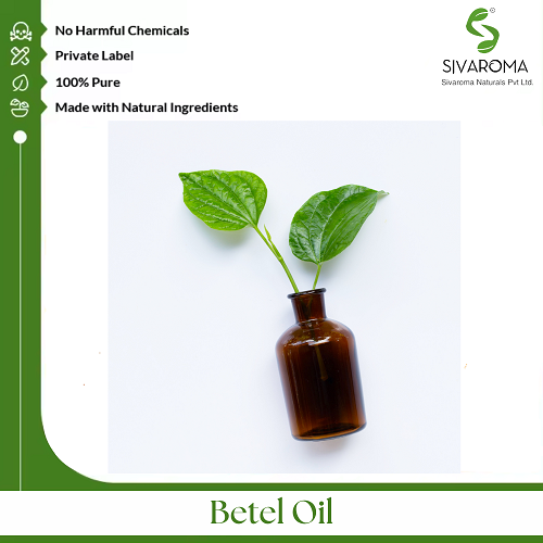 Betel Oil - Age Group: All Age Group
