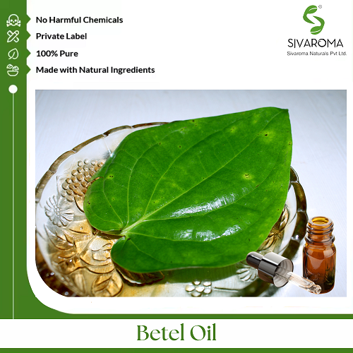 Betel Oil - Age Group: All Age Group